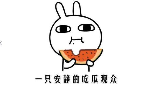 娱乐吃瓜名字怎么取的呀